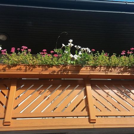 Apartmaji Valter Srpenica Kültér fotó